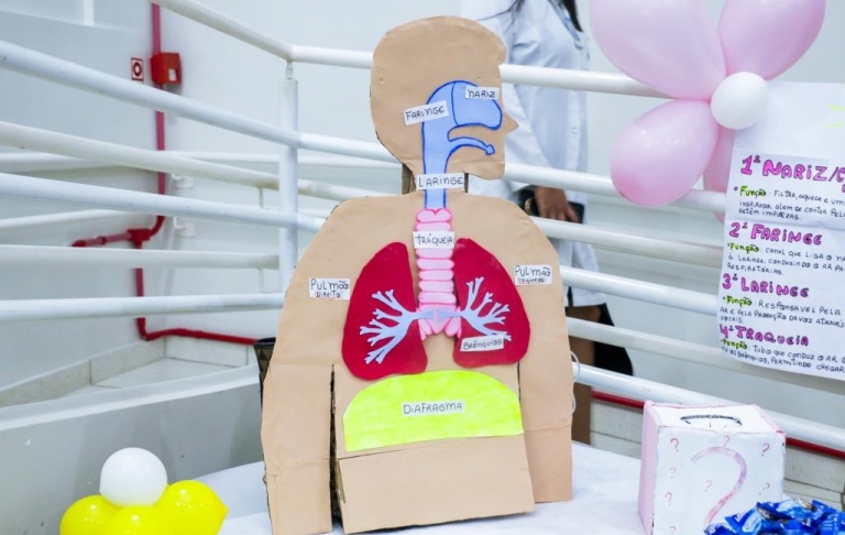 Feira do sistema de Anatomia turma 311A do Curso Técnico em Enfermagem