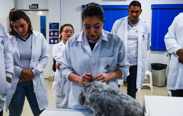 Raio-X aplicado à Radiologia Veterinária