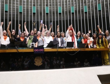 Câmara aprova projeto que regulamenta a profissão de doula