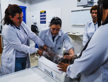 Por que o curso técnico é o caminho mais rápido para o sucesso profissional?